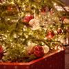 メリークリスマス