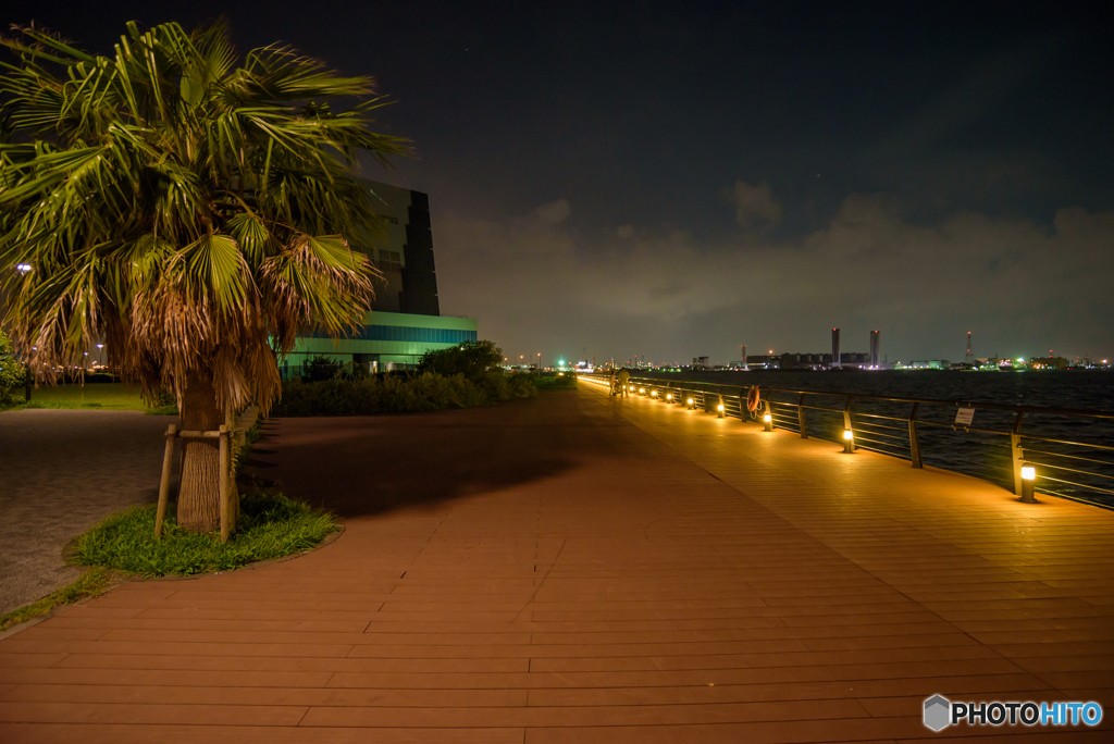 東扇島東公園