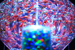 アートアクアリウムにて　その５