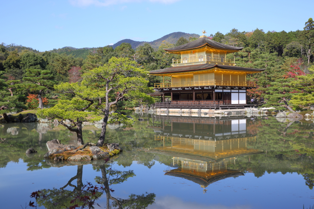 秋の金閣寺