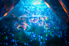 アートアクアリウムにて　その３