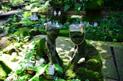 ほっかむりお狐様