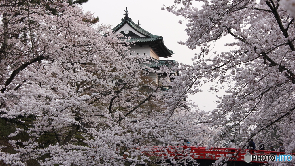 桜纏う城