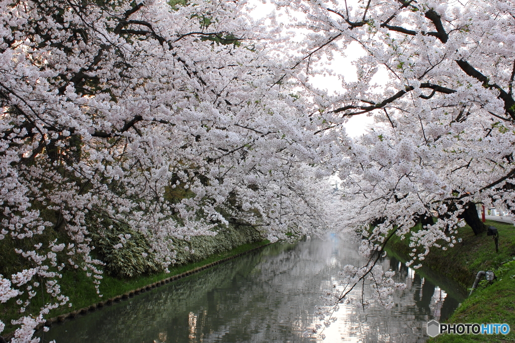 春の朝
