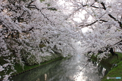 春の朝