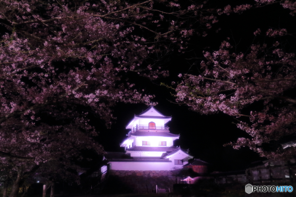 お城の華は夜ひらく