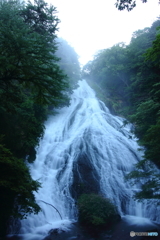 朝靄の大瀑