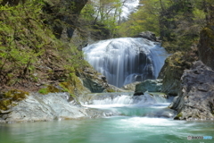 関山の翠