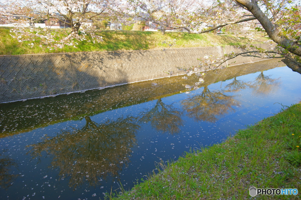 春の終わり