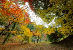 山寺の秋