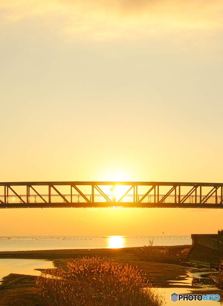 架け橋