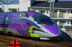 DSC05290