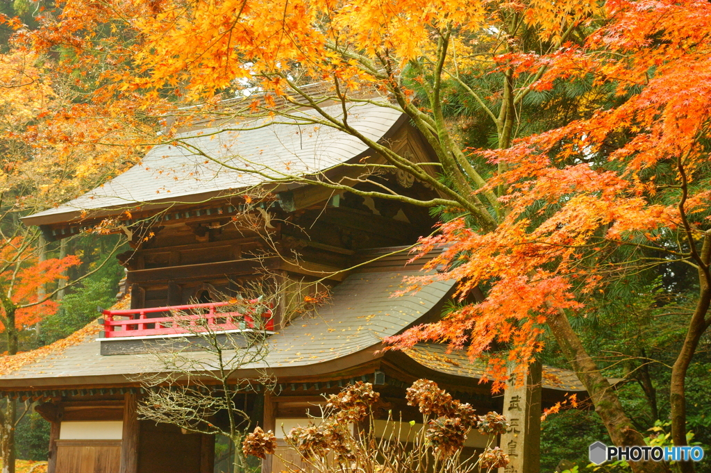 山寺の秋