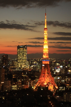 東京タワー