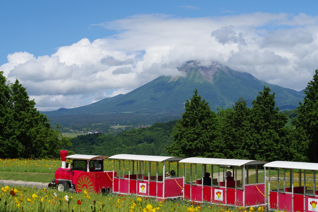 大山を望む