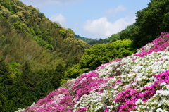 三隅公園