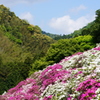 三隅公園