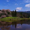 与一野のしだれ桜③