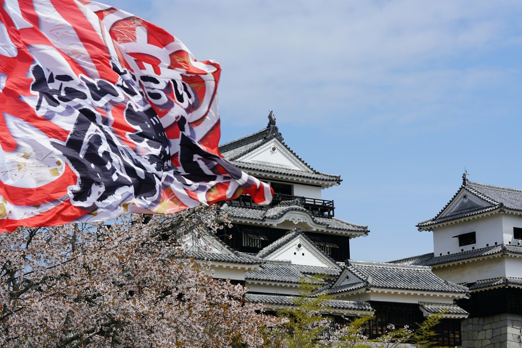 松山城全国野球拳大会