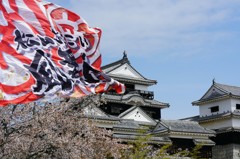 松山城全国野球拳大会