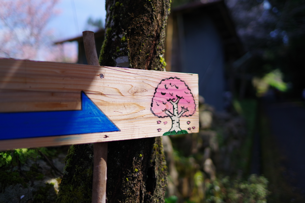 道案内
