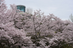 広島市植物園