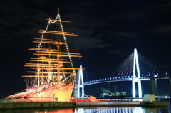 海王丸と新湊大橋