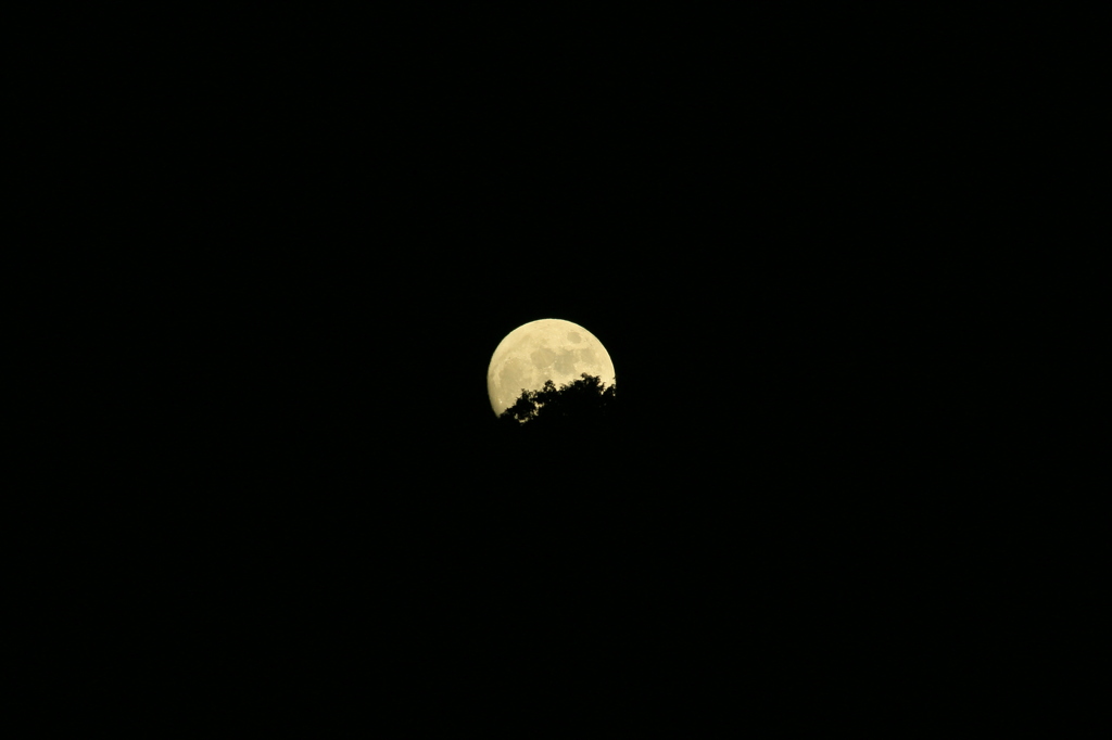 清水Moon
