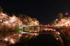 上越　高田公園　夜桜3