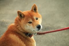 ん？