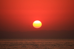 夕陽