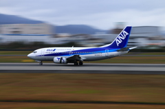 チビちゃん着地