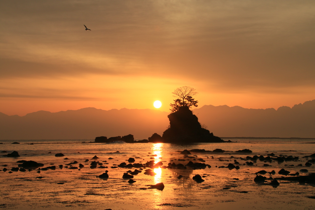 雨晴海岸
