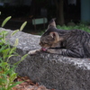 あ～退屈。