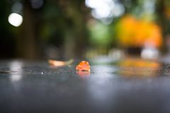 紅葉