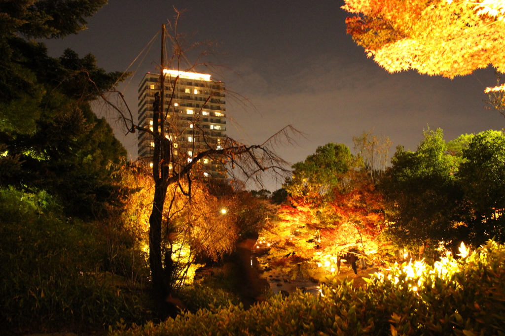 ビルと紅葉