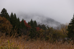 雨霧