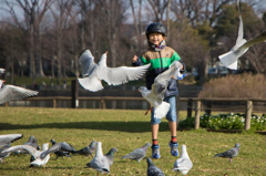 鳥と少年