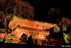 鹽竈神社