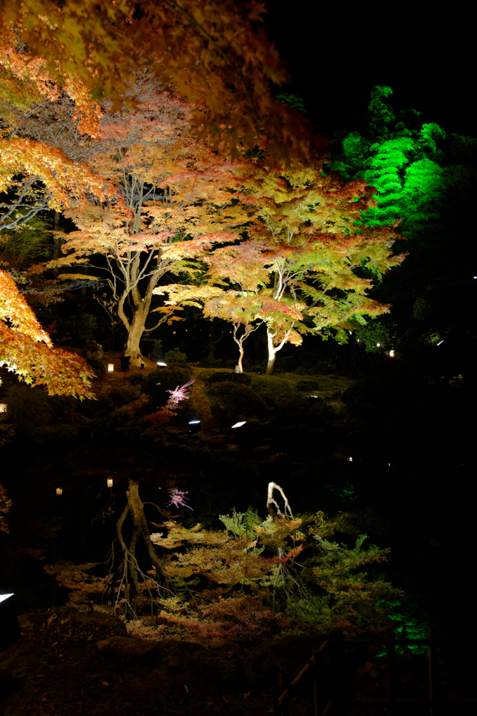 水鏡