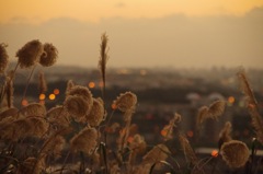 PM17:00
