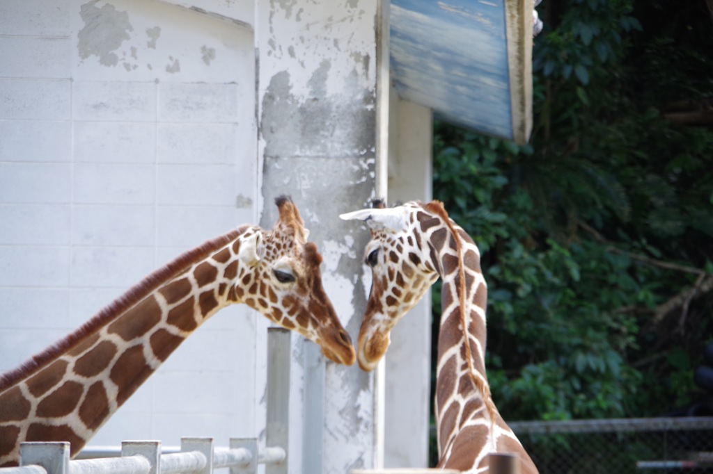 French kiss