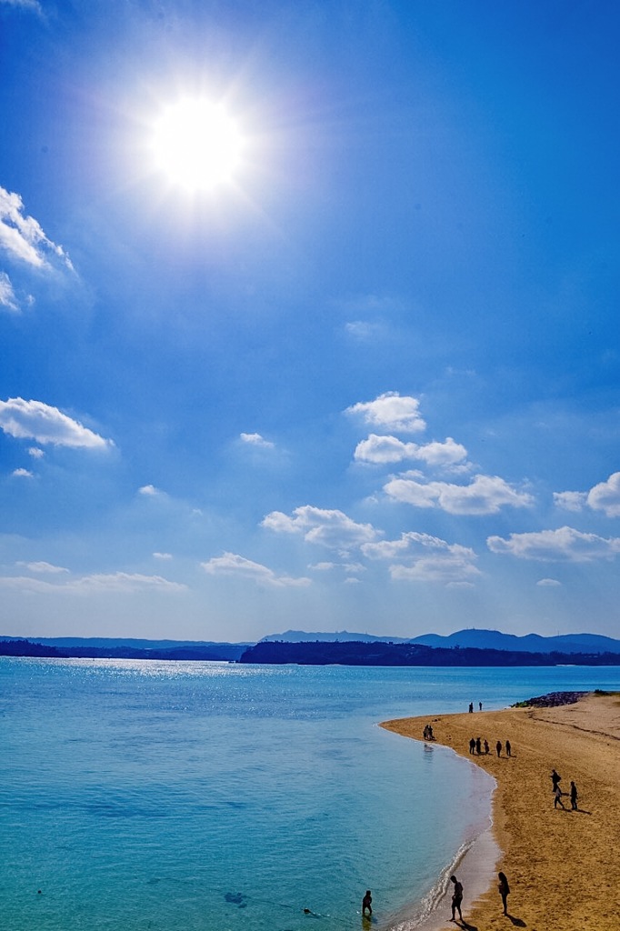 2月真夏日