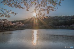 ちょっと夕方、ほとんど昼間