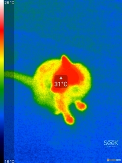 img_thermal_1471216436275