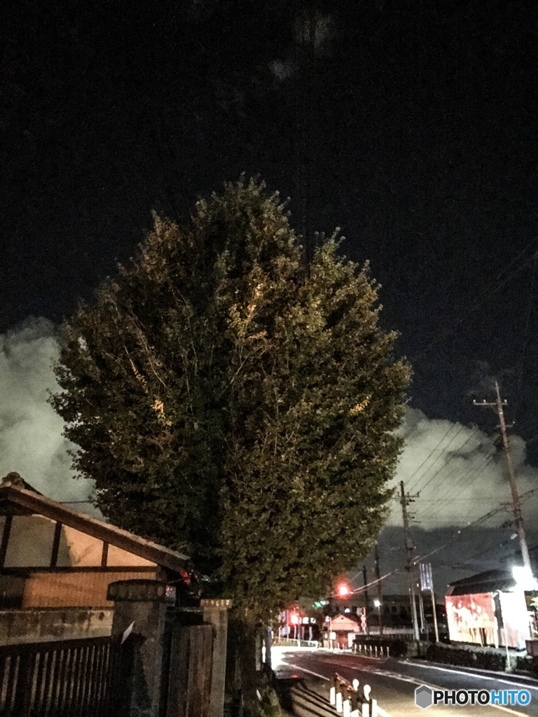 千鳥足で帰宅中