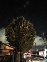 千鳥足で帰宅中
