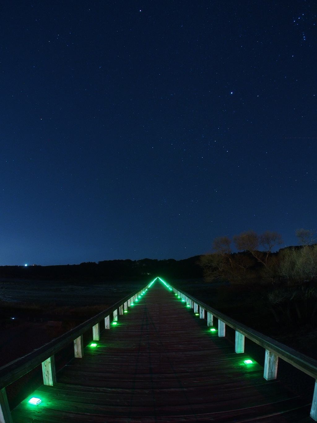 蓬莱橋　星
