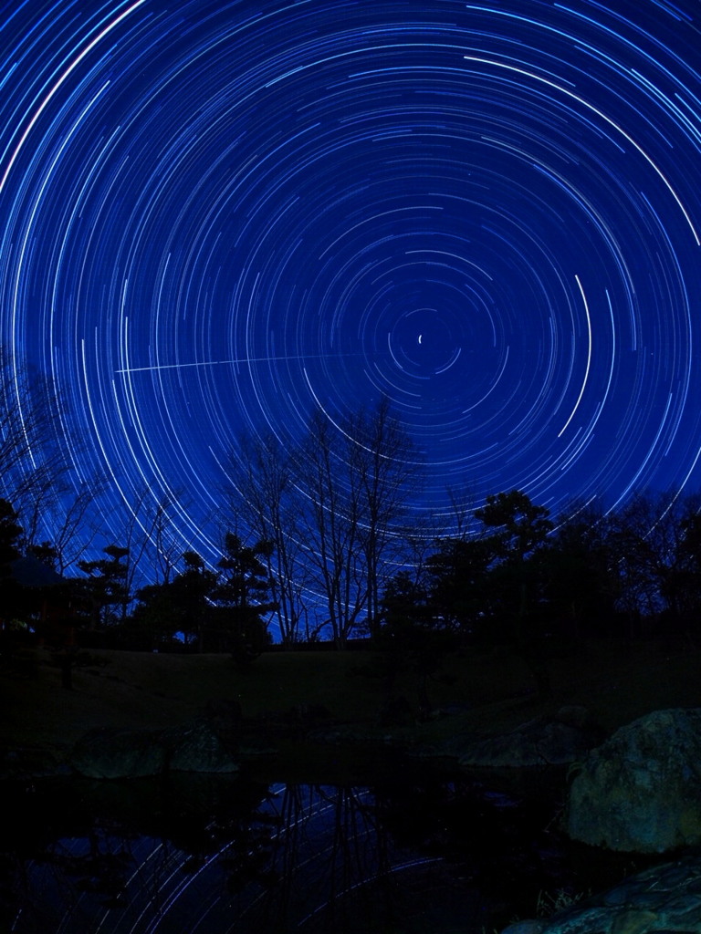 庭園　星周る
