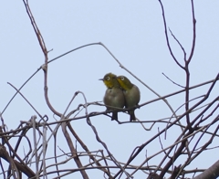 ね～～今度どこ行く？